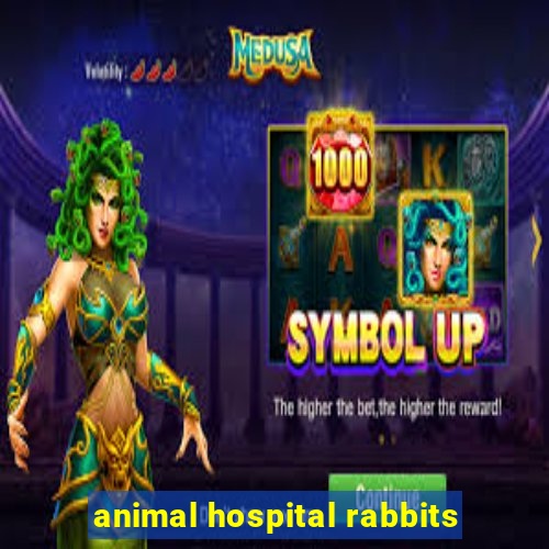 animal hospital rabbits